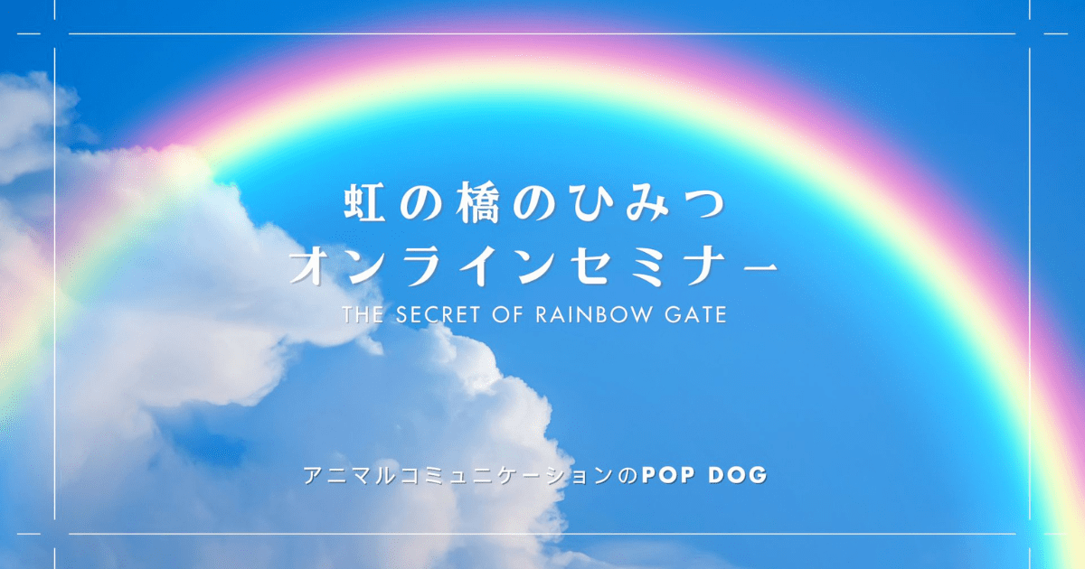 【全１回】虹の橋のひみつ　オンラインセミナー