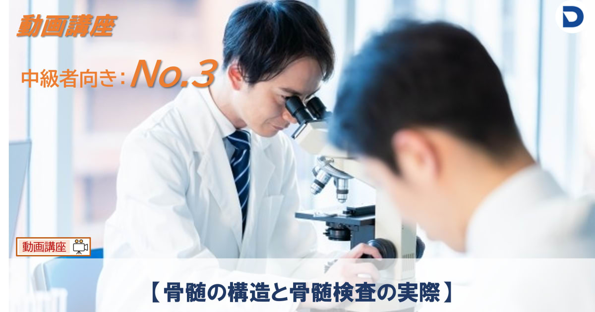 No.3  骨髄の構造と骨髄検査の実際