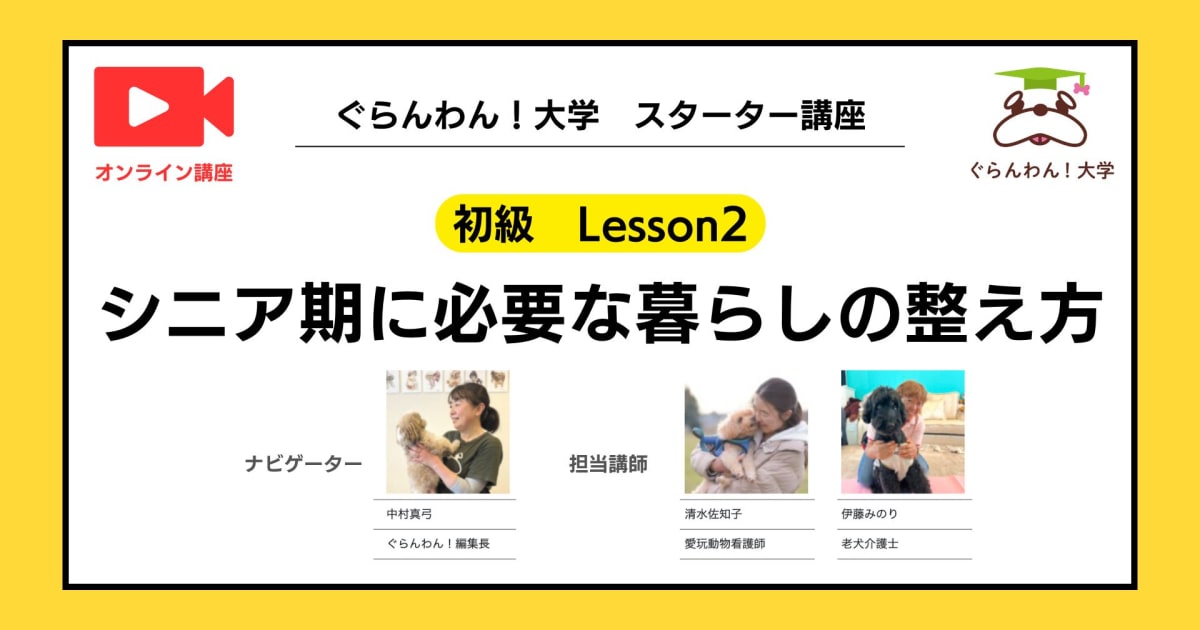 老犬ケアのはじめ方｜初級Lesson2