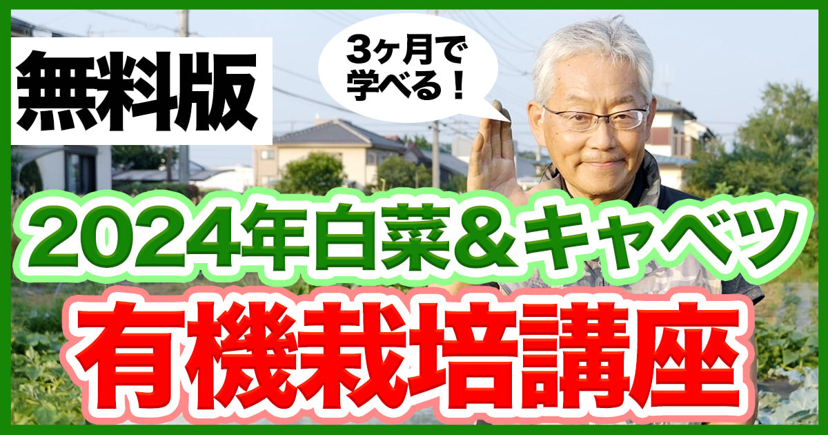 価格高騰に負けない！自分で作る白菜＆キャベツ 有機栽培講座2024【無料版】