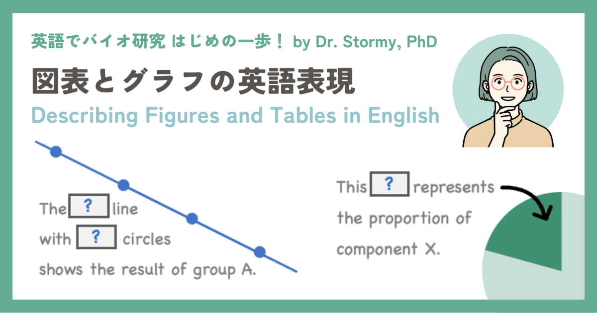 【英語表現】図表とグラフの英語表現