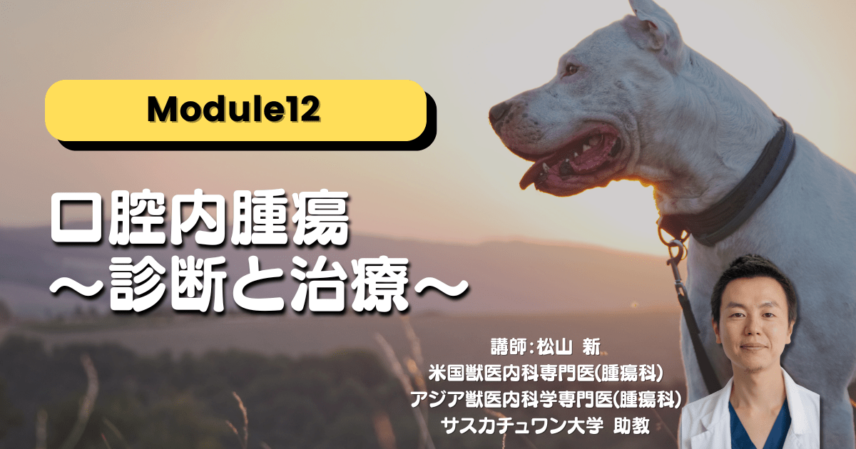 Module12 口腔内腫瘍 ～診断と治療～