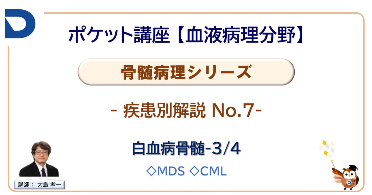 骨髄病理シリーズ：疾患別解説No.7「白血病骨髄3/4」