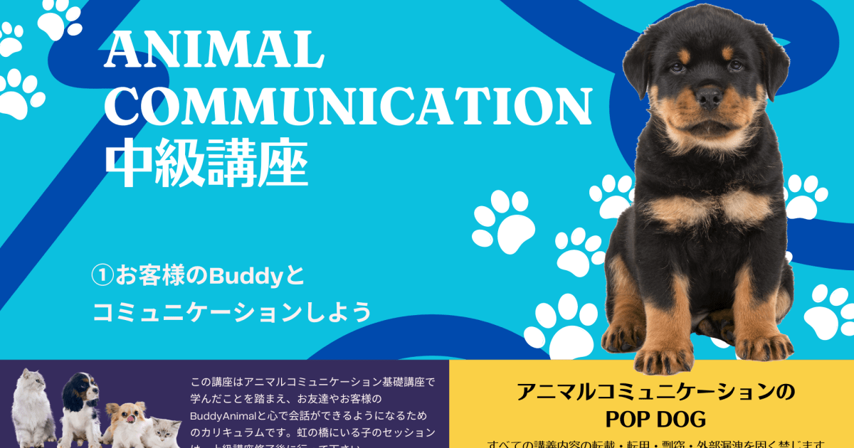 アニマルコミュニケーション中級講座