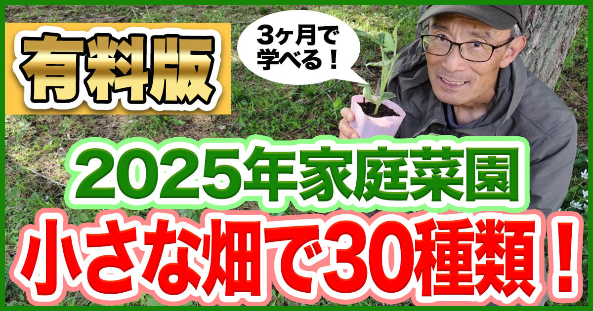 小さな畑で30種類の野菜を作る講座