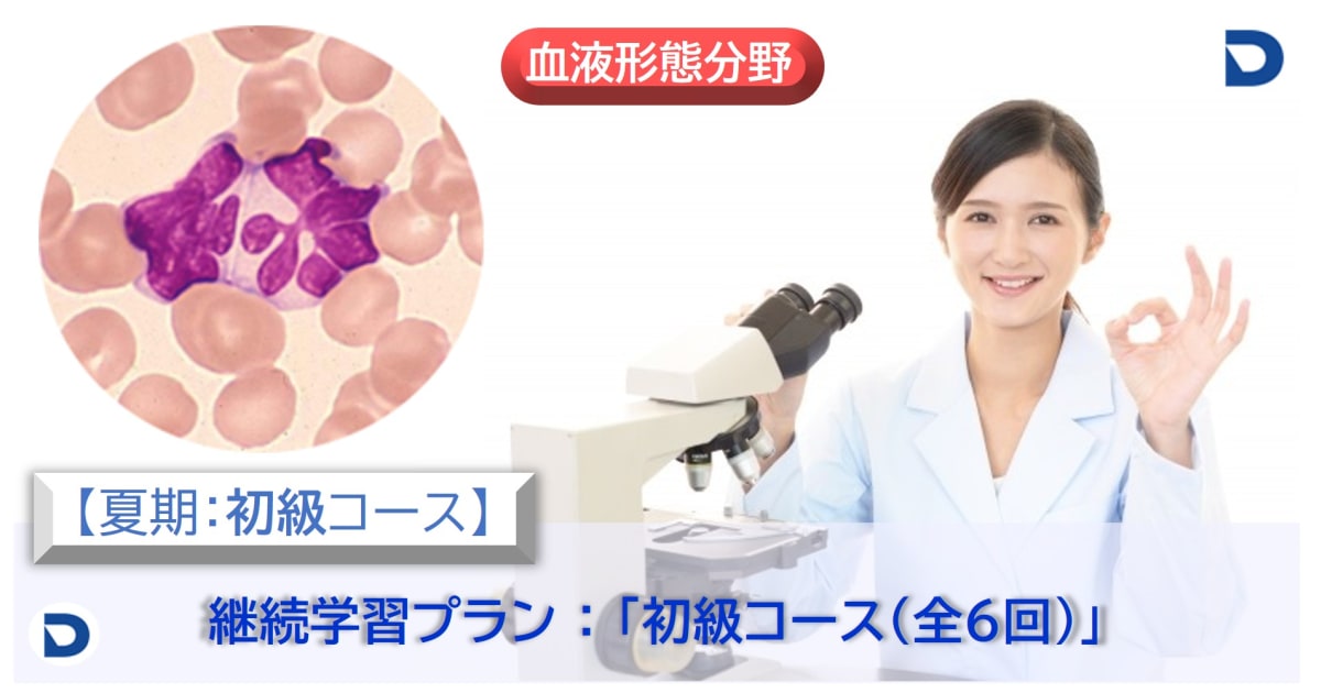 2025年度夏期　血液形態学：初級コース（継続学習プラン）