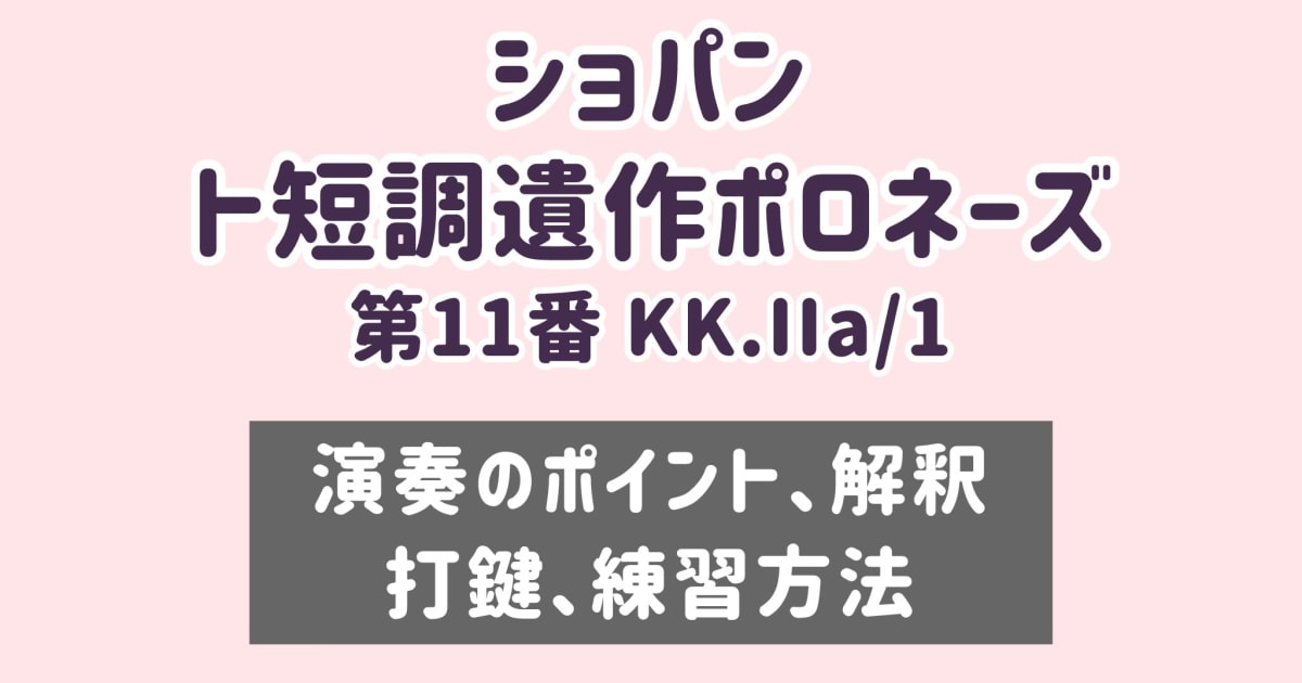 ショパン  ポロネーズ第11番 ト短調 KK.IIa/1 演奏のコツと練習方法 [全 ３３分] ご購入後６０日間いつでもLINEで質問可能