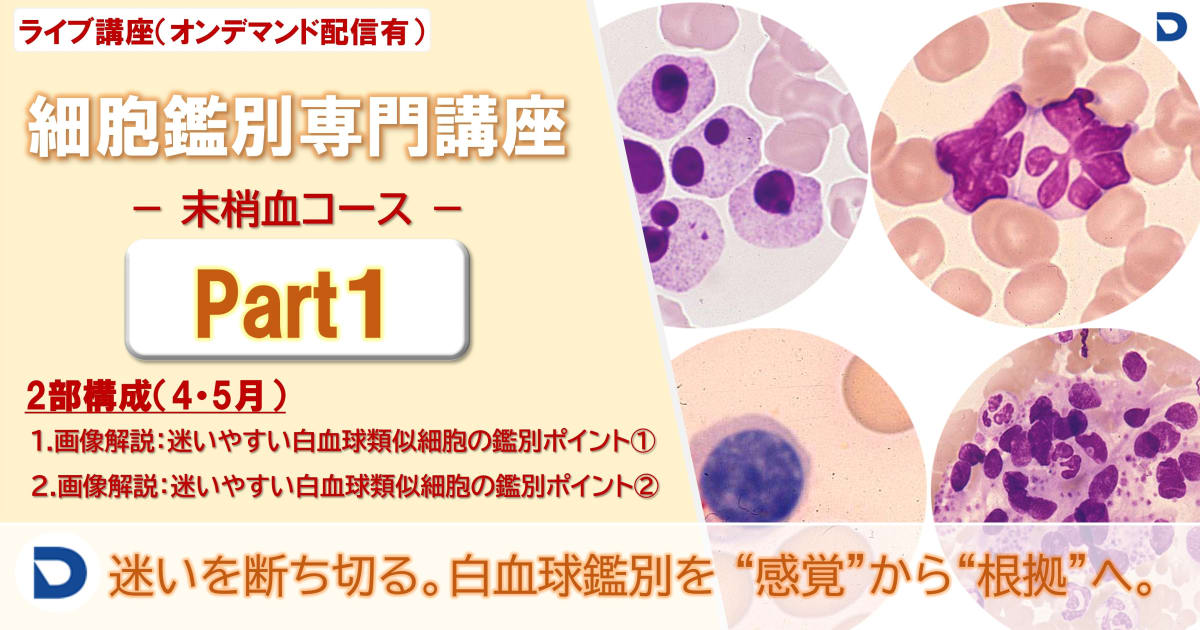 細胞鑑別専門講座：末梢血Part1（全2回）