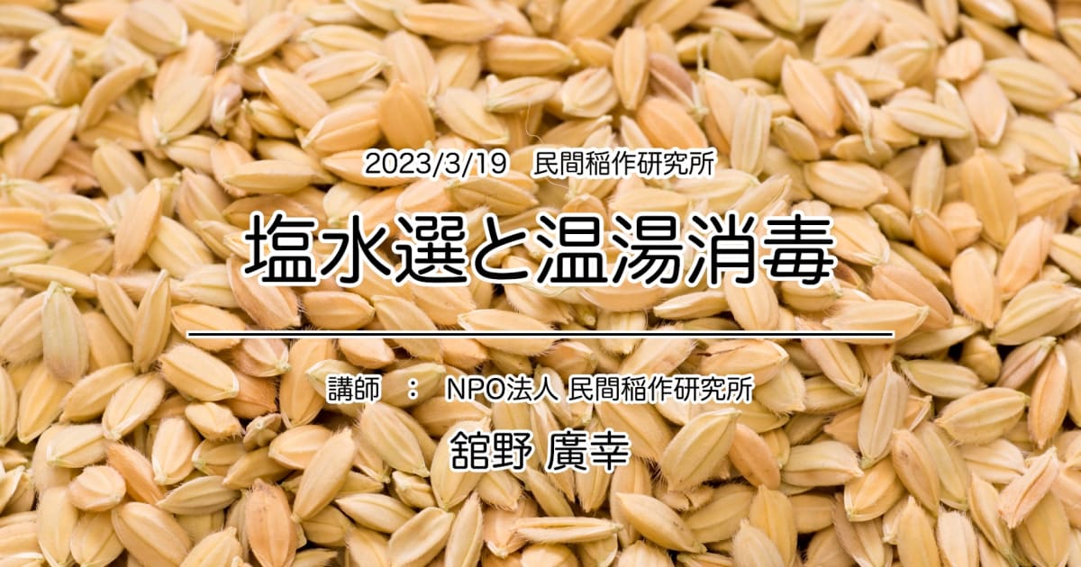 『塩水選と温湯消毒』 2023年ポイント研修