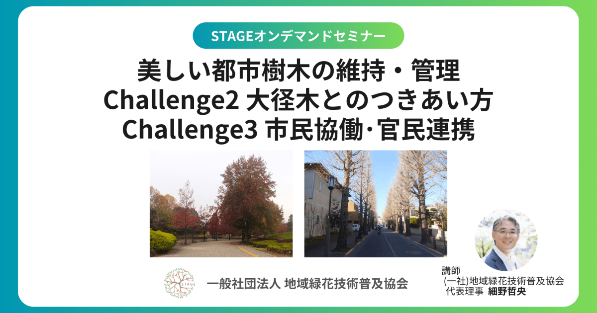 【都市のみどりの課題を探る】【市民向け】（講座番号：B2504G）美しい都市樹木の維持・管理 challenge２ 大径木とのつきあい方 challenge３市民協働・官民連携