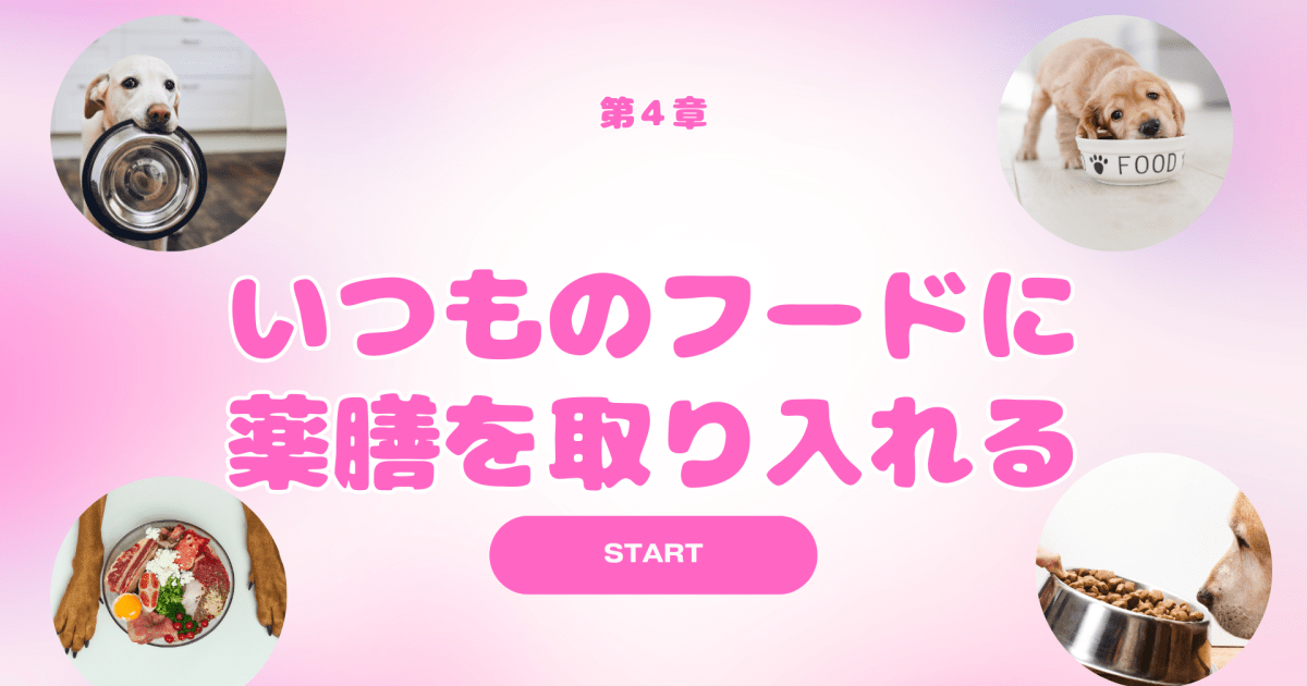 人と犬の健康教室　第４章「いつものフードに薬膳を取り入れよう」