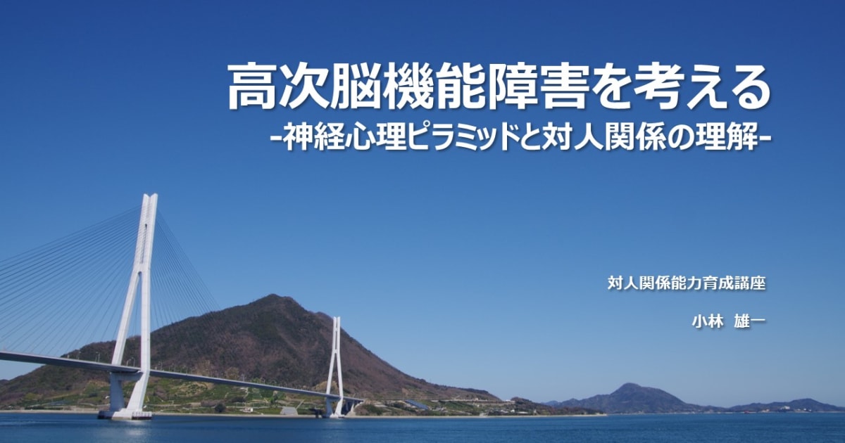 高次脳機能障害を考える -神経心理ピラミッドと対人関係の理解-
