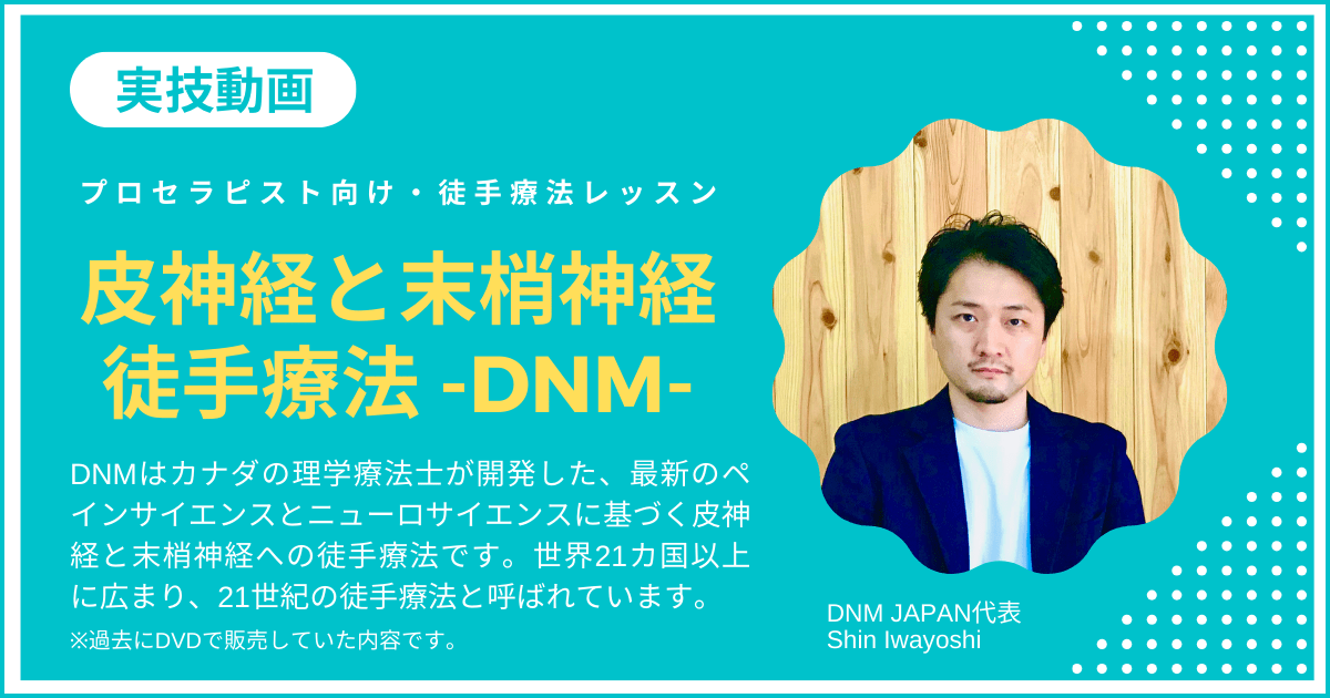 皮神経と末梢神経への徒手療法・DNM実技動画（DNM理論概要付き）/ 21の実技 / 約35分