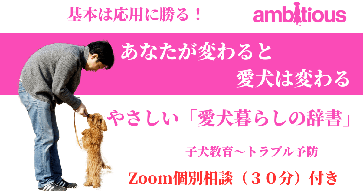 やさしい「愛犬暮らしの辞書」　パピー編　＜ZOOM個別相談付き＞