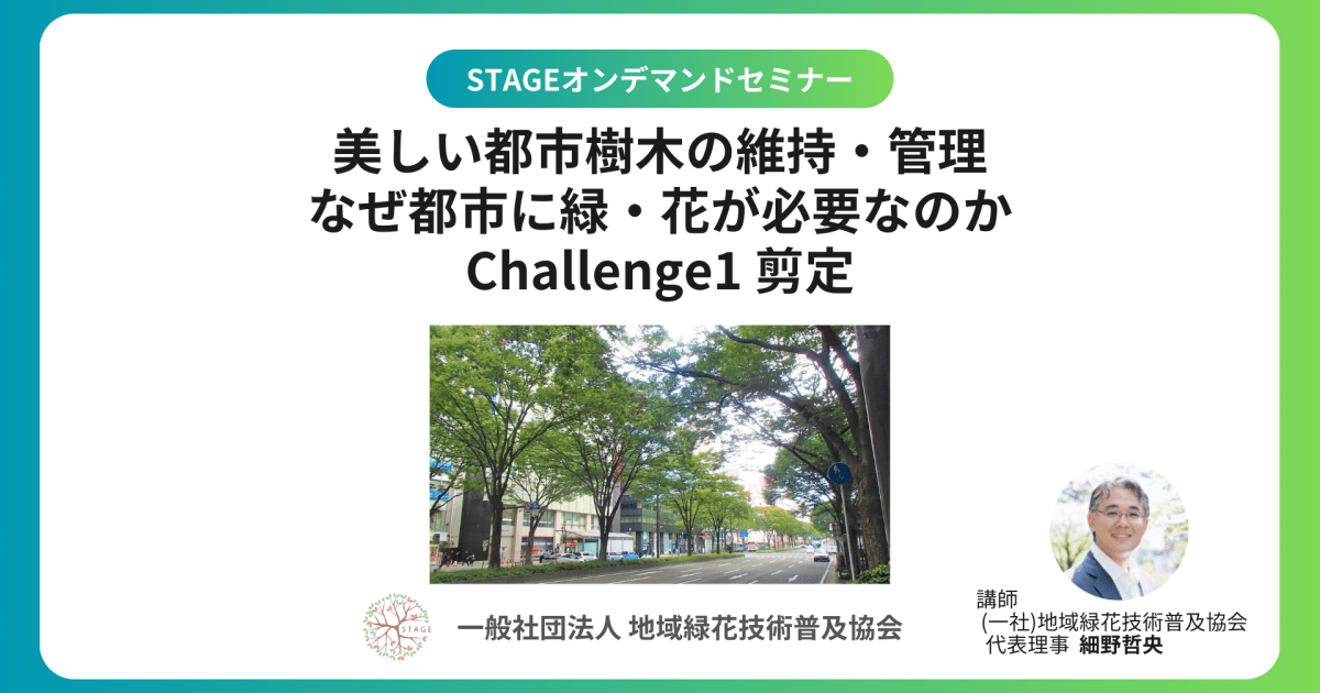 【都市のみどりの課題を探る】【市民向け】（講座番号：B2503G）美しい都市樹木の維持・管理　 なぜ都市に緑・花が必要なのか ～challenge１剪定