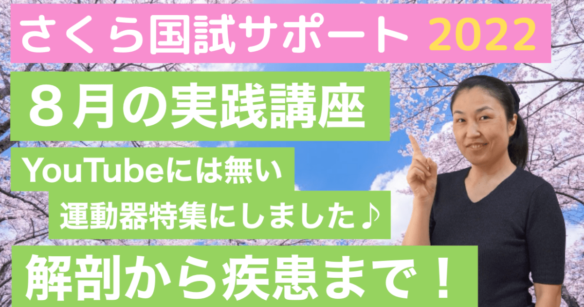 【８月の実践クラス】国試解説講座＋頻出疾患解説！