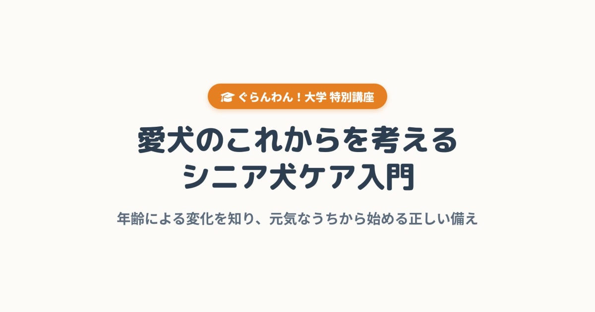 敬老の日記念！愛犬のこれからを考える、シニア犬ケア入門