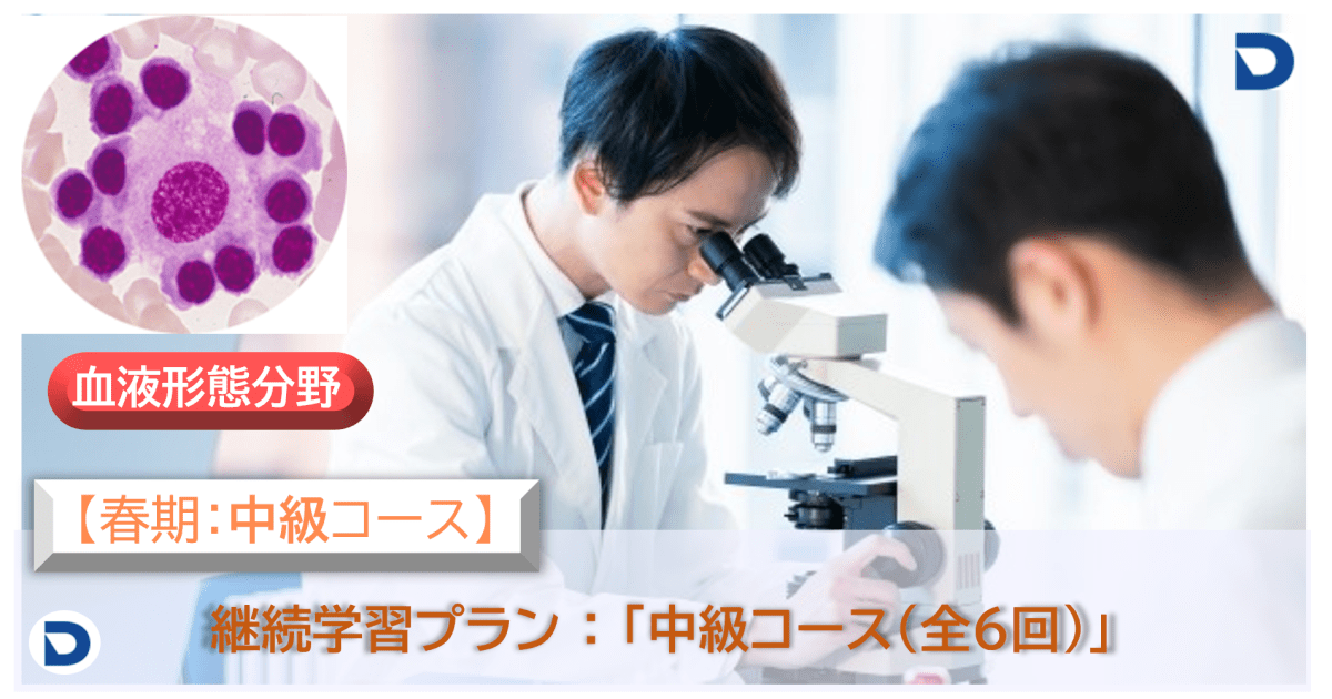 2025年度春期　血液形態学：中級コース（継続学習プラン）