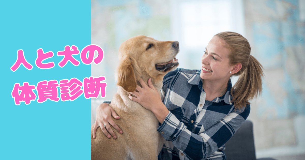 【人と犬の健康教室　HNC】五行による人と犬の体質診断