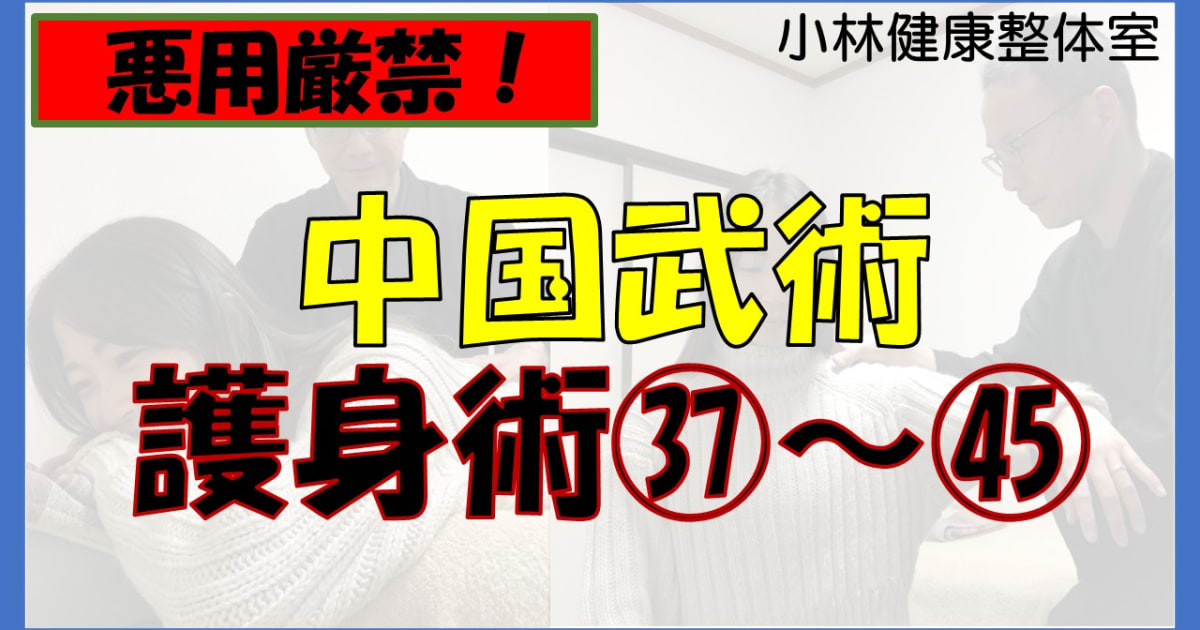 【悪用厳禁】中国武術、護身術㊲～㊺