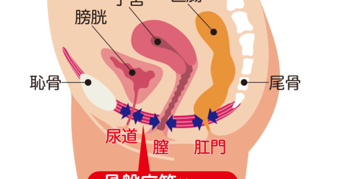 骨盤底筋10分エクササイズ