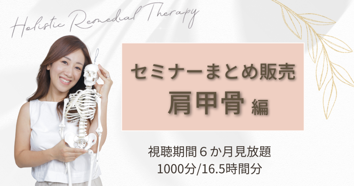 「肩甲骨」セミナー(2026.1～2026.4)　