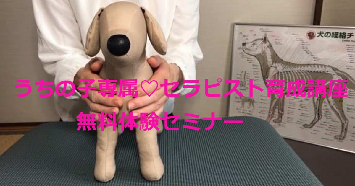 【zoom】うちの子専属♡セラピスト育成講座 （座学と実践／６ヶ月：全12回）