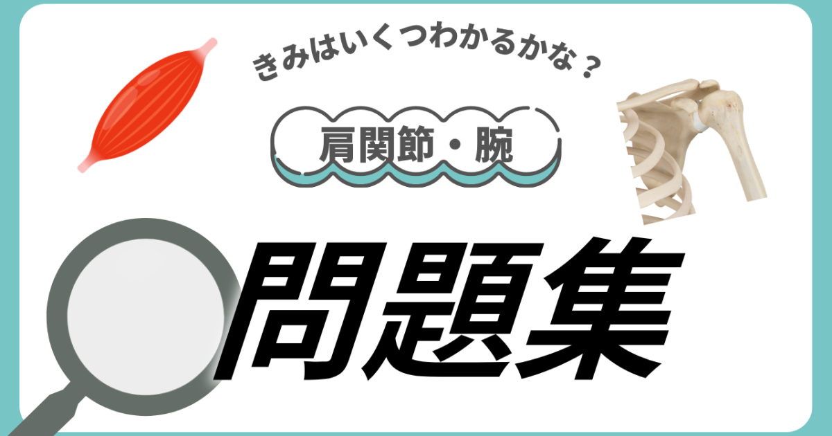 【基礎解剖学問題集】肩関節と腕
