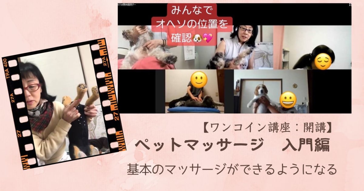 ペットマッサージ　入門編（基本のマッサージができるようになる）