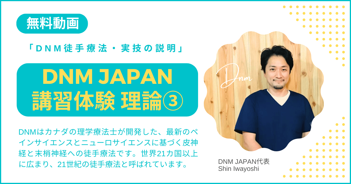 DNM JAPAN講習体験・無料動画３「DNM徒手療法・実技の説明」