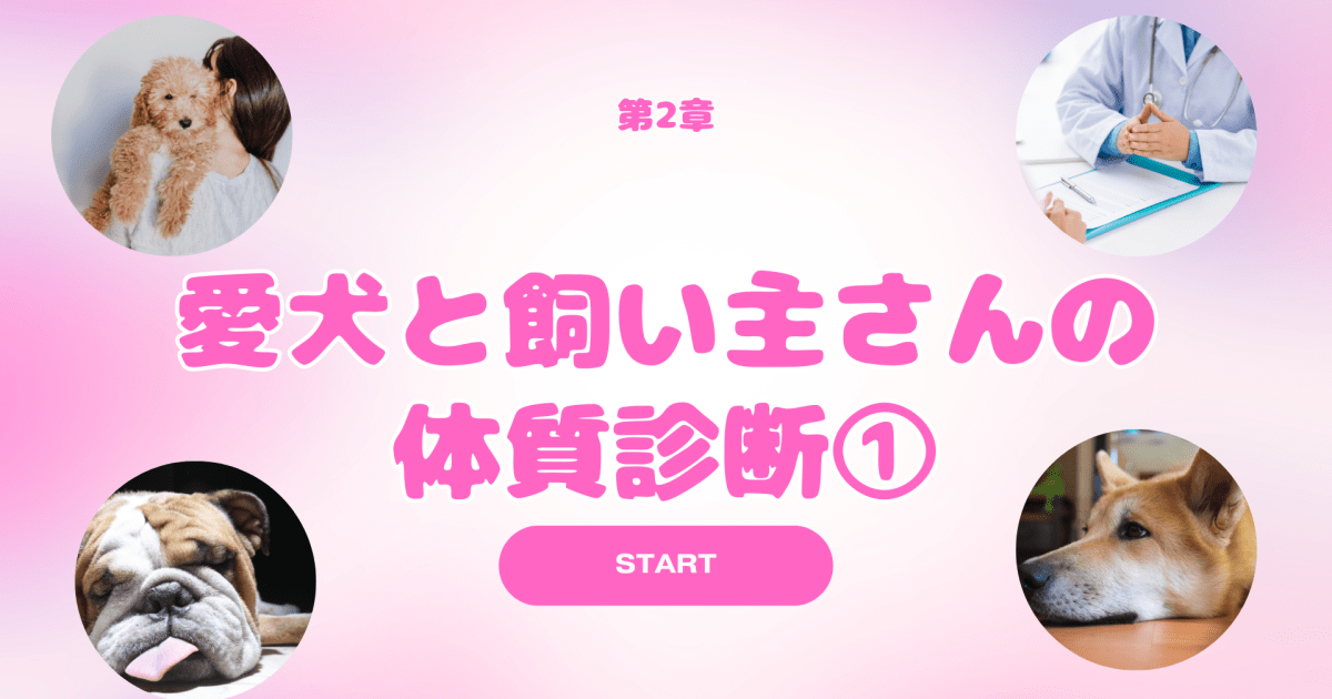 人と犬の健康教室　第２章「愛犬と飼い主さんの体質診断①」
