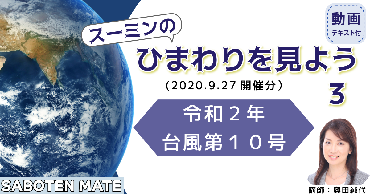 スーミンのひまわりを見よう（３）～令和２年台風第１０号～