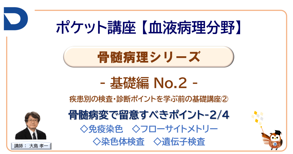骨髄病理シリーズ：基礎編No.2「骨髄病変で留意するポイント2/4」