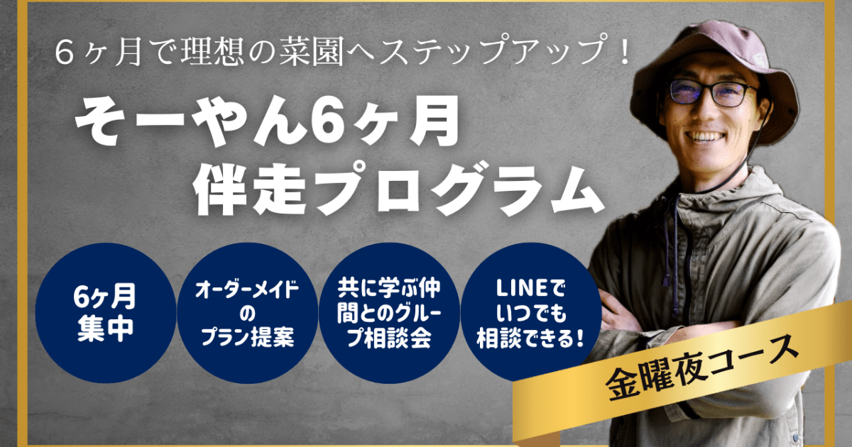 そーやん6ヶ月伴走プログラム（金曜夜）