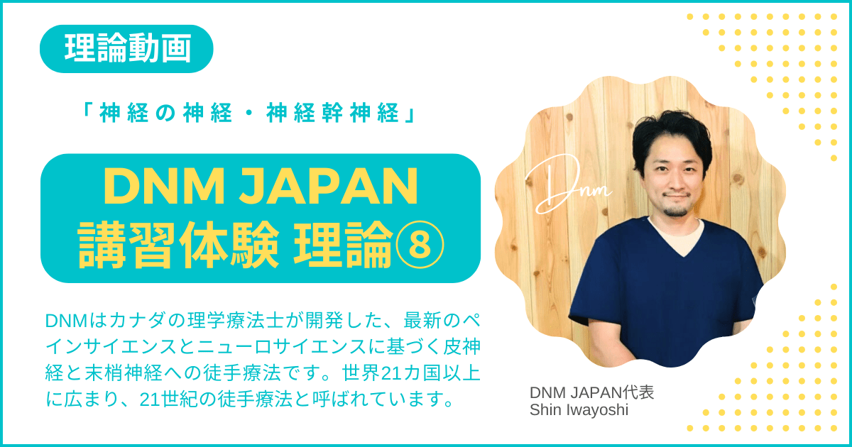 DNM JAPAN講習体験動画８「神経の神経・神経幹神経」