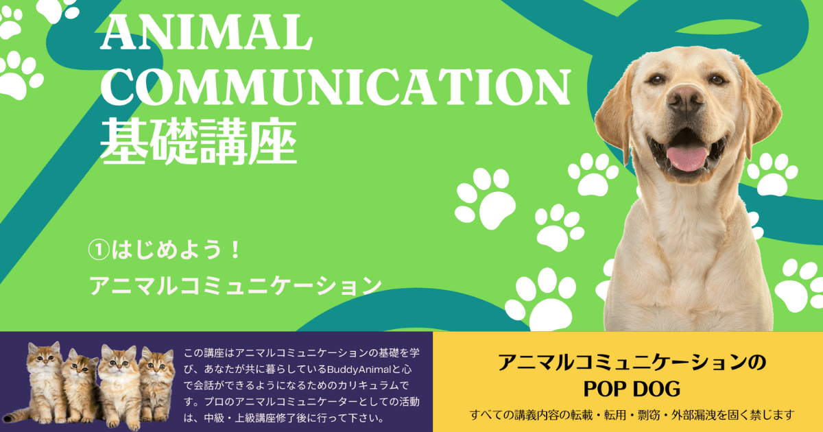 アニマルコミュニケーション基礎講座