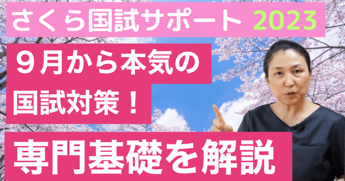 ９月の実践講座【第113回対策】