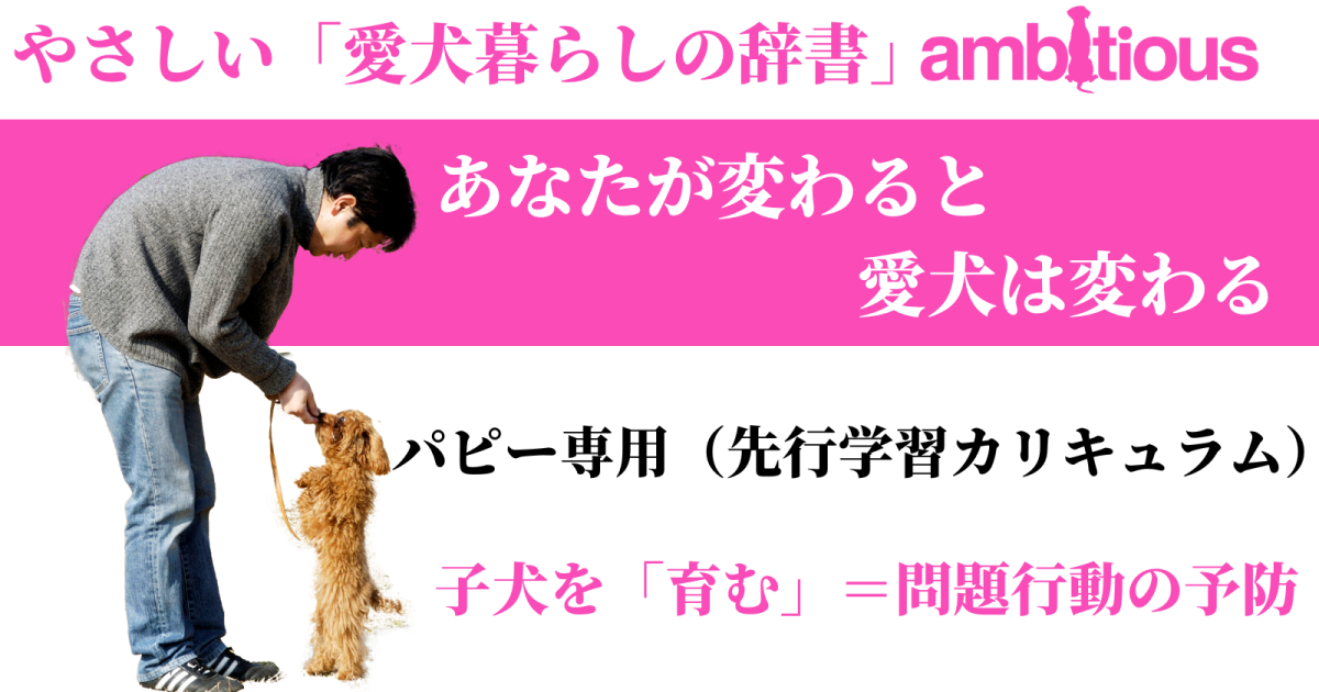 パピー専用（先行学習カリキュラム）