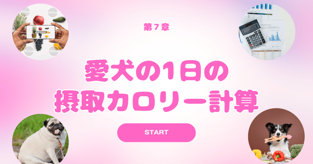 人と犬の健康教室　第７章「愛犬の１日の摂取カロリー計算」