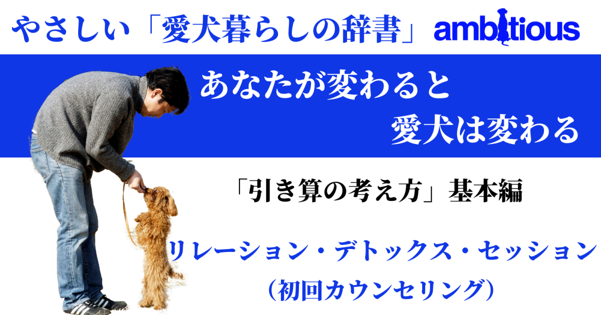 リレーション・デトックス・セッション（初回カウンセリング）カリキュラム