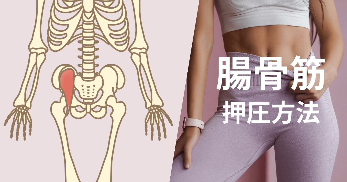 腸骨筋の押圧方法（一般 / 妊婦）