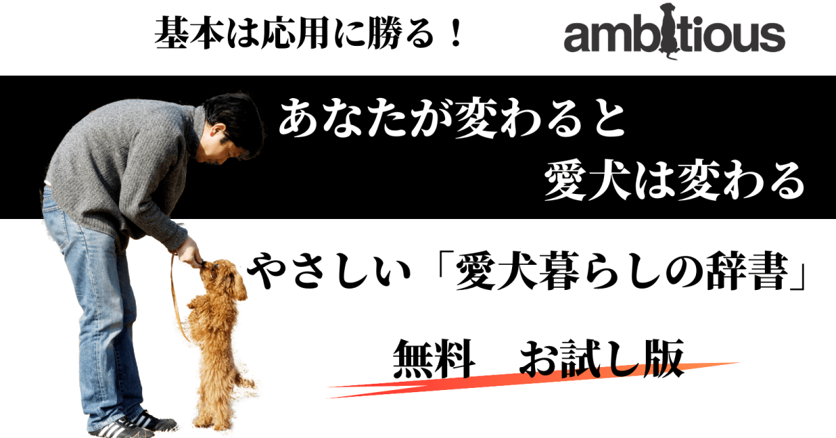 やさしい「愛犬暮らしの辞書」　お試しカリキュラム　