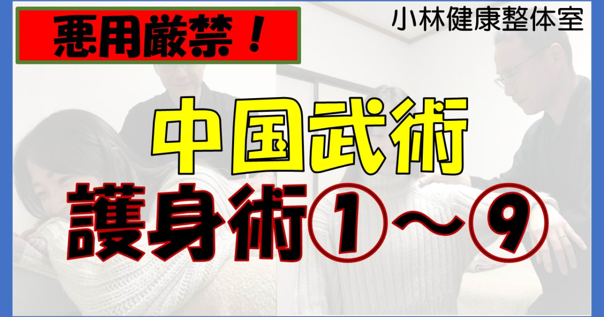 【悪用厳禁】中国武術、護身術1～9