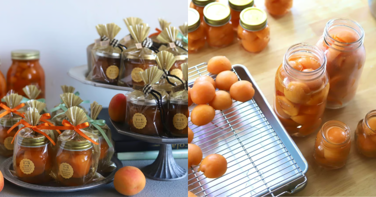 【動画レッスン】あんずのコンポート＆コンフィチュール 永久保存版