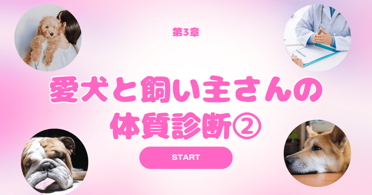 人と犬の健康教室　第3章「愛犬と飼い主さんの体質診断②」