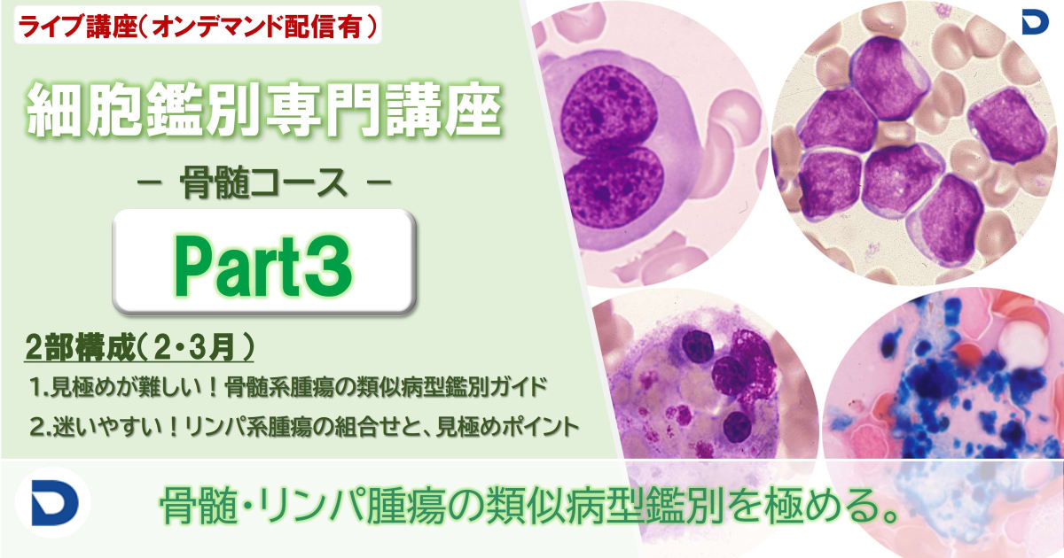 細胞鑑別専門講座：骨髄Part3（全2回）