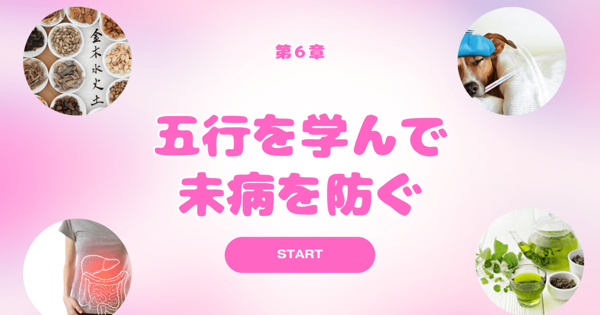人と犬の健康教室　第６章「五行を学んで未病対策」