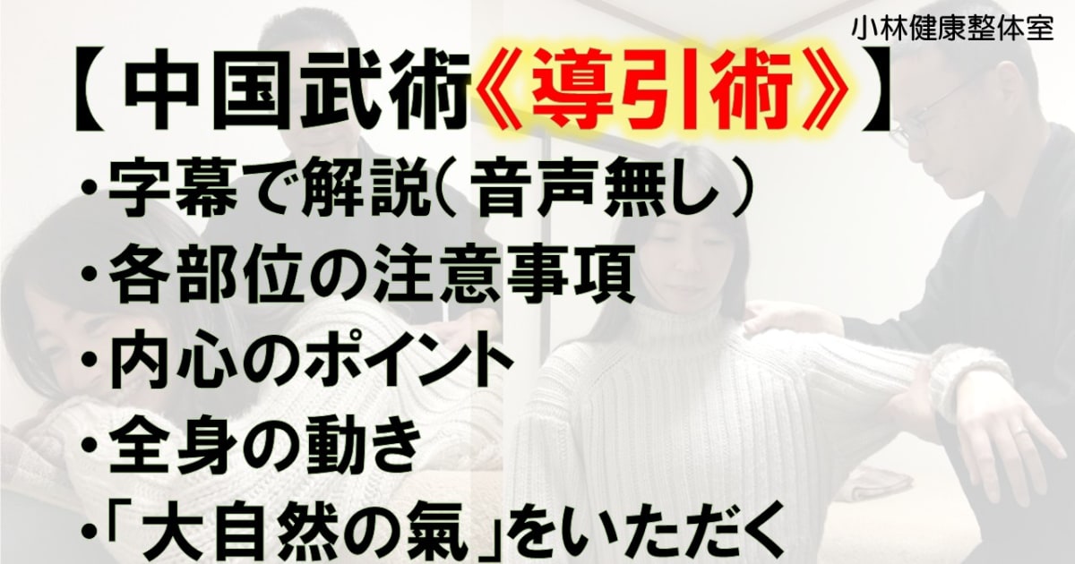 中国武術《導引術》
