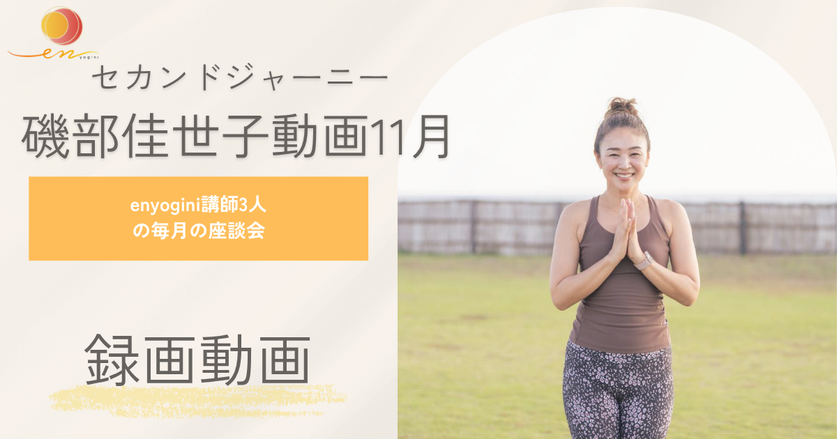 磯部佳世子サブスク動画11月