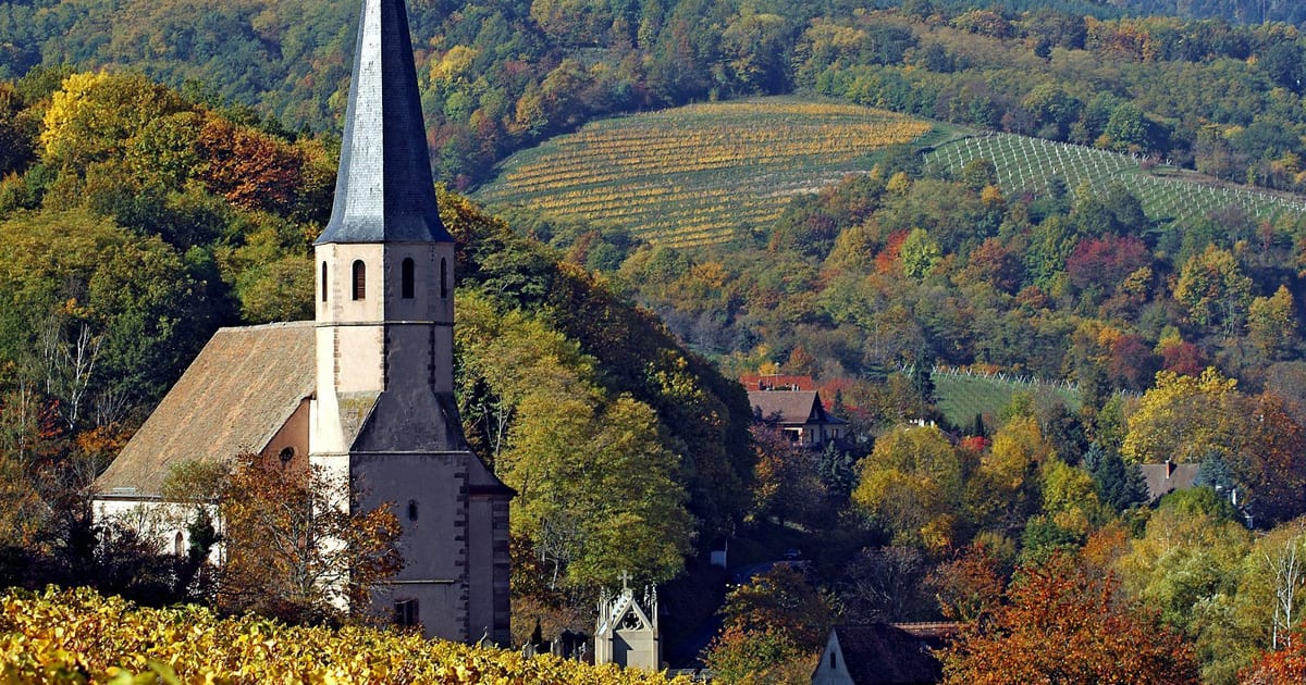 【オンデマンド】動画で学ぶワイン中級講座４「ロワール＆アルザス＆ローヌ」